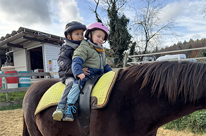 Reittherapie